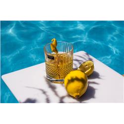 BOHEMIA PRESTIGE ELEGANTE SZKLANKA WHISKY TUBA 2X-21793