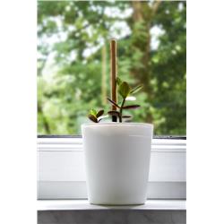 TG VERA DONICZKA 170MM BIAŁA -21836